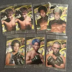 格闘技選手 トレーディングカード 7枚セット