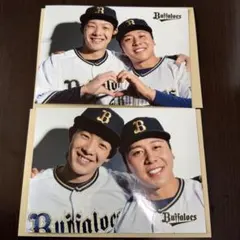 オリックスバファローズ コンビフォト 大里、池田