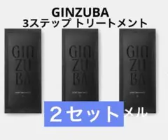 2026年最新】GINZUBA3ステップトリートメントの人気アイテム - メルカリ
