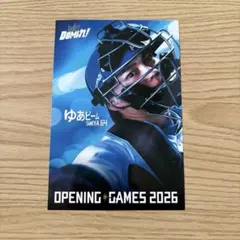 北海道 日本ハムファイターズ 田宮裕涼 選手カラー ステッカー シール