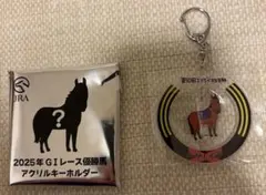 JRA ウェルカムチャンス　アクリルキーホルダー　レガレイラ　エリザベス女王杯のサムネイル
