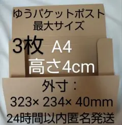ダンボール箱 4cm A4 3枚●厚さ最大 ゆうパケットポスト専用 箱 梱包資材