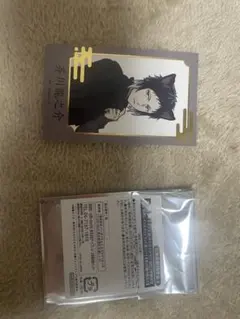 文豪ストレイドッグス 箔押しインスタントフォト風シート 芥川龍之介