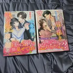 9月エタニティブックス 3冊セット - メルカリ