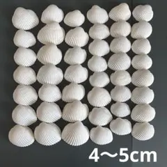 Item thumbnail for item ce936b38-37f4-42bd-8aba-443b5c64bacf