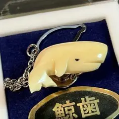 2026年最新】鯨歯の人気アイテム - メルカリ