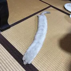 ミンクファー　リアルファー　毛皮　マフラー　昭和レトロ