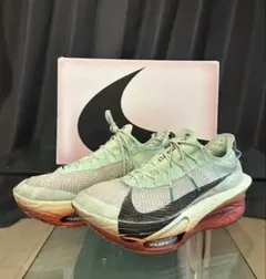 Nike Alphafly3 Next% Eliud kipchoge 27.5のサムネイル