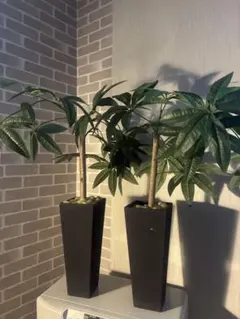 光触媒 人工観葉植物 ウォールグリーン フェイクグリーン ナンキンハゼ 
