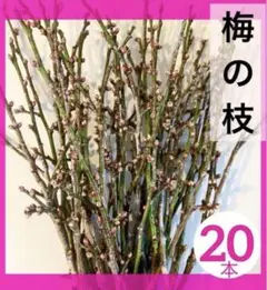 Item thumbnail for item 976f6c2f-35cb-4490-ace9-80888b0500ba