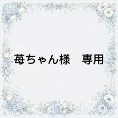 苺ちゃん様　専用