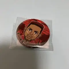 NESMITH 缶バッジ　RP