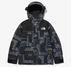 新品【THE NORTH FACE】GORETEX MOUNTAIN