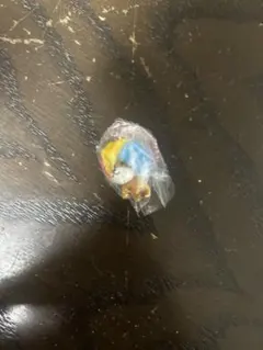 サンエックスユニバース チャーム付きグミ アフロ犬