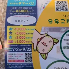 キクチメガネクーポン割引券のサムネイル