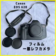 2026年最新】Canon eos 620の人気アイテム - メルカリ