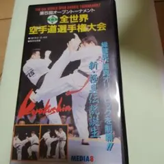 Item thumbnail for item 277df85e-d561-4beb-a2a3-9ab1e8f185f1