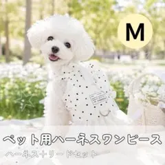 M 犬 ハーネス メッシュ 小型犬 引っ張り防止 負担軽減 涼しい ベスト型のサムネイル