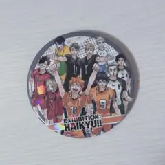 原画展 ハイキュー展 コレクション缶バッジ 第8弾 レア