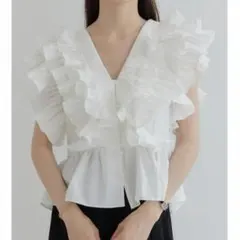 26SS 極美品 アルページュ レース ラッフルフリル ブラウス 華やか 