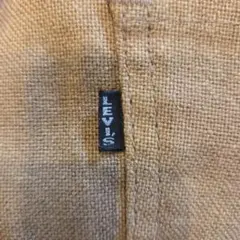 ビッグE☆70sヴィンテージ　Levi'sスタプレ　バギーフレア　美シルエット