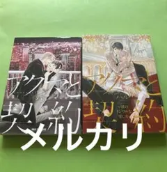 ⭐️期間限定価格⭐️ アクマと契約～彼のイジワルな愛し方～　　ハル