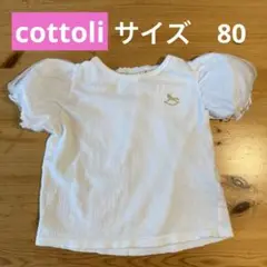 cottoli Tシャツ 80cm