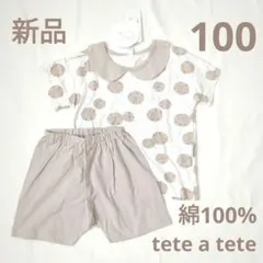 新品テータテート100クッキー柄半袖パジャマ上下セット半ズボンショートパンツ