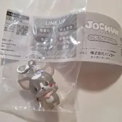 JOCHUM めじるしアクセサリー2 チュララ　ガチャガチャ　1点