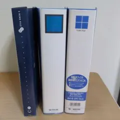 Item thumbnail for item 3f62f355-3755-4280-a893-e8b1a0c294d7