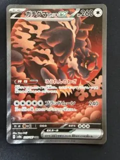 2026年最新】ガチグマ(アカツキ)ex SARの人気アイテム - メルカリ