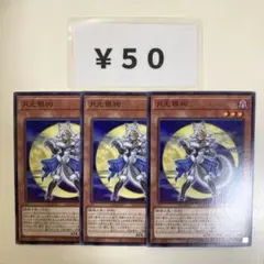 MNo.1029 ムーンライトシルバーハウンド 3枚