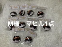 あんごろ様　マヒル一点