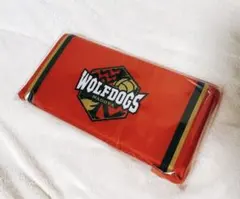 ウルフドッグス名古屋 FC特典 足元ネット付きクッション ウルド