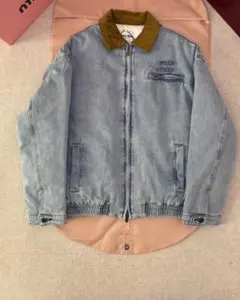 Item thumbnail for item e6a37907-be2a-4371-976e-46e6fd91a1ad