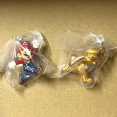スーパーマリオ　めじるしアクセサリー2 マリオ　ゴールド　シークレット　めじるし