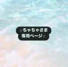 ⭐︎ちゃちゃさま専用ページ⭐︎