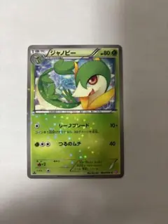 ジャノビー C BW コンセプトパック「シャイニーコレクション」 キラ