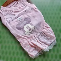 ミニー デザイン 犬服 ピンク