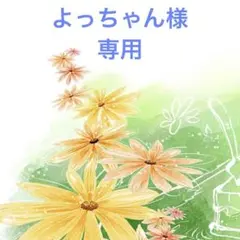 よっちゃん様　専用ページ