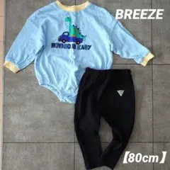 【80cm】BREEZE　ベビー 恐竜Tシャツと黒リブパンツ セットアップ