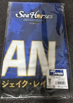 シーホース三河 2025-26 ネームフェイスタオル ジェイク・レイマン