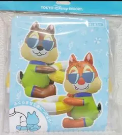 TDR限定　抱きつき人形セット　SuisuiSummer　チップとデール　未開封