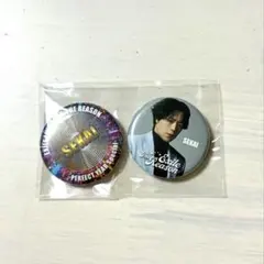 EXILE 世界 ガチャ 缶バッジ