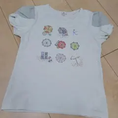 組曲キッズ　Tシャツ