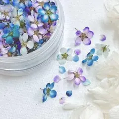 M cat～^ΦωΦ^ฅ様 リクエスト 3点 まとめ商品