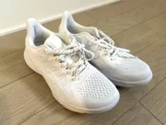 Item thumbnail for item 79e66e17-ecf1-4e68-9d50-4c3f0d39931d