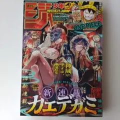 週刊少年ジャンプ 2025年30号