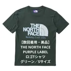 THE NORTH FACE PURPLE LABEL ロゴTシャツ グリーン