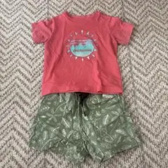 Patagonia Tシャツ ショートパンツ セットのサムネイル